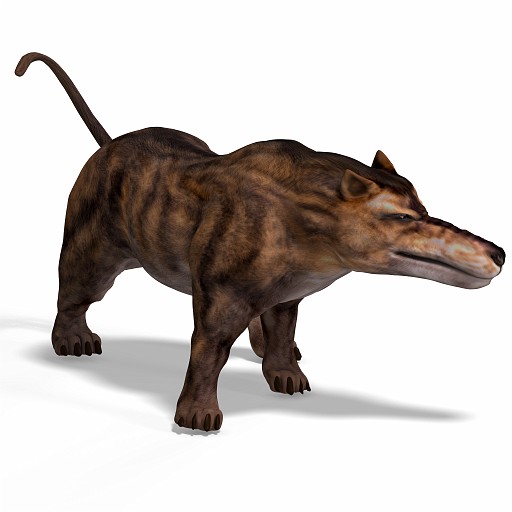 Andrewsarchus 08 B_0001.jpg - Dangerous dinosaur Andrewsarchus With Clipping Path over white